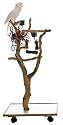 4 Feet Sandblasted Manzanita Activity Tree Large
