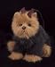 yorkshire terrier - Yappy Carrymore Yorkie Dog Large 12