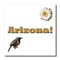 Arizona - 8x8 Iron On Heat Transfer For White Material