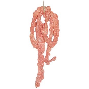 Bloody Butcher Intestines 64 inch Halloween Prop
