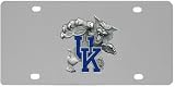 NCAA Kentucky Wildcats Logo Plate