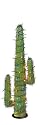 GKI Bethlehem Lighting 50 Multi Color Light 3-Foot Cactus on a Metal Base