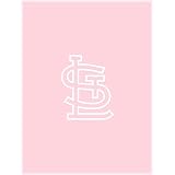 Biederlack St. Louis Cardinals Oversized Pink Acrylic Throw