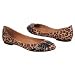 Steve Madden Women's Karmma Ballerina Flat