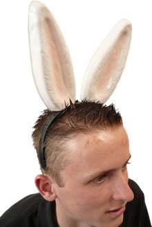 Childrens Toyshop  Toys : Ears - Rabbit on Headband