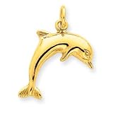 14k Dolphin Charm - Measures 23.8x19.1mm