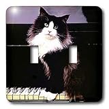 Cats - Tuxedo Cat - Light Switch Covers - double toggle switch