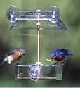 Droll Yankees W1 Winner Window Feeder