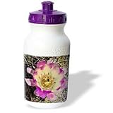 Jerry Funk Photo Artisan Flowers - Decorative colorful garden SW Southwest Desert cactus yellow gold red green flower abstract cartoon - Water Bottles