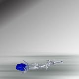 Crystal Blue Rose