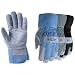 Wells Lamont #4113M Medium WMNS Glove Assorted
