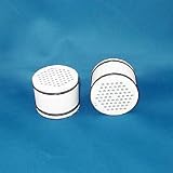 Replacement Water Filter for the Sunflower Shower Head - Removes Chlorine! - by Paragon
