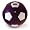 Purple/White