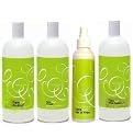 Devacurl No Poo 4 Set (No Poo 32 Oz ,One Conditioner 32oz, Angell 32oz. , Set It Free 6oz)