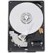 Western Digital Caviar Blue 320 GB PATA 8 MB Cache 3.5-Inch Internal Retail Kit Drive - WDBAAV3200ENC-NRSN