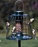 Small Peanut Feeder Guardian Pack Bulk Deal of 2