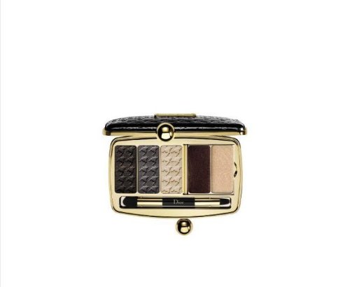 dior minaudiere