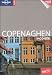 Copenaghen. Con cartina (Incontri)