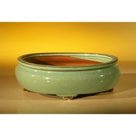 Bonsai Boy's Ceramic Bonsai Pot - Oval 8 0 x 6 25 x 2 5