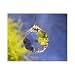 40mm Swarovski Strass Logo Etched Crystal Ball Suncacher 8858