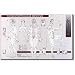 Points + Merdians Of Acupuncture 23"X36"-RW1L