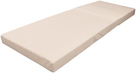 InnovEx Home Products FoldNGo 5" Adult Memory Foam Mattress with Bed Bug Cover and Storage Bag, Single