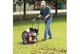 Hurricane Plus 10 Blower Briggs Gasoline Power