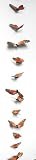 Monarch Butterfly Garland w/12 Butterflies (Feather) - Fabulous for Spring & Wedding Decorations!
