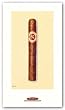 Petite Corona, Dominican Republic by Bernie Horton 10.5"x5.75" Art Print Poster