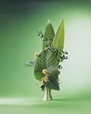 �񲰺�ʸ� untitled5������̵����