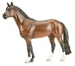 Idocus-Warmblood