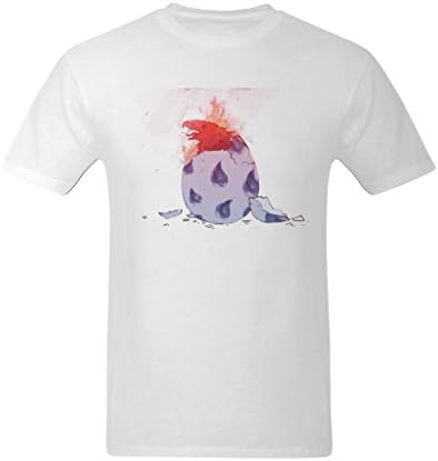 Oquerill Men's Phoenix Egg Tshirts XS