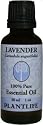 Lavender 100% Pure Essential Oil - 30 ml