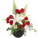 Roses - Glorious Celebration(Valentines Offer: Free Shipping)