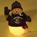 Washington State Cougars Fiber Optic Snowman