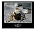 Galapagos Iguana Emerging Artists Photographic Poster Print by J Wayne Pinkston, 10x8