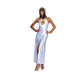 New Egyptian Lady Costume (Sandals and bracelets not included)