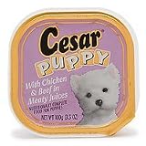 31PjujeVskL. SL160  Cesar Puppy with Chicken and Beef in Meaty Juices