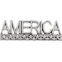 07.50X22.50 Mm 14K Yellow Gold America Lapel Pin