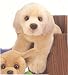 Plush Yellow Lab 11