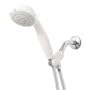 Premier 192043 Five-Setting Handheld Showerhead, White