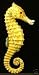 TropicaL Tiki Undersea Sea Horse Lime Seahorse Decor