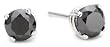 14k White Gold Black Diamond Stud Earrings (1 cttw)