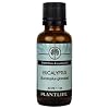 Eucalyptus 100% Pure essential Oil -30ml