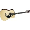 Yamaha Gigmaker Deluxe Acoustic Package