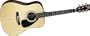Yamaha Gigmaker Deluxe Acoustic Guitar Package