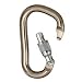 Black Diamond Rocklock Locking Carabiner