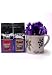 Fairwinds Coffee, Handpainted Mug Gourmet Coffee Gift Basket