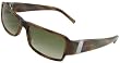 Coach Sunglasses, Varick S430, Chestnut Horn/ Brown Fade Lenses/ Silver Detail
