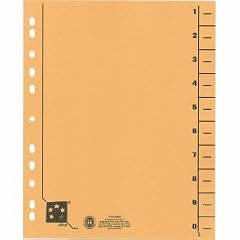 5 Star 914727 Trennbl�tter vollfarbig 30x24 cm, RC Karton 230 g/qm Inh.100, gelb